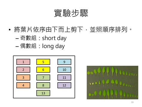 中國冬季季風風向|國二第三冊中國地理L3補充資料~中國氣候上課講義